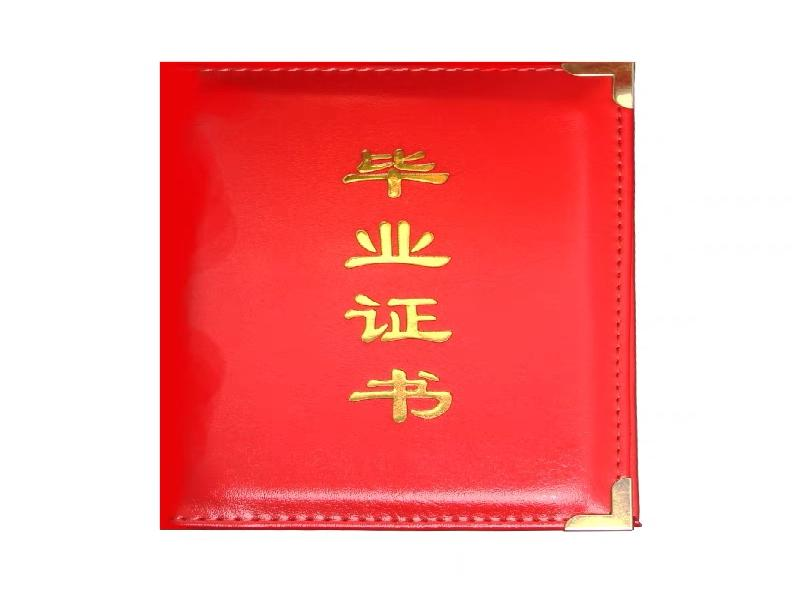 诊断证明一经开具即具法律效力：用途、责任与后续影响解析