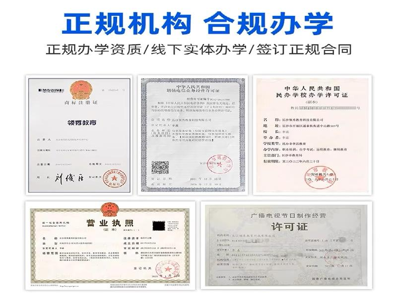 体检报告解读与费用参考：根据项目明细估算需要多少钱